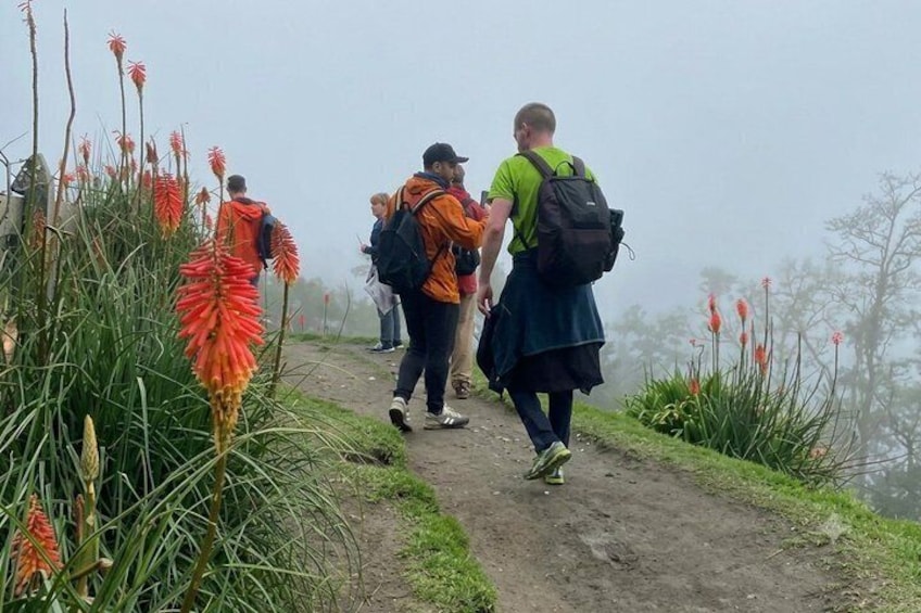 Cocora Valley : 10 km Nature and Forest Hike 1