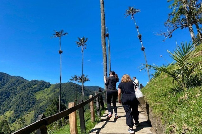 Cocora Valley 12 km Nature and Forest Hike 5