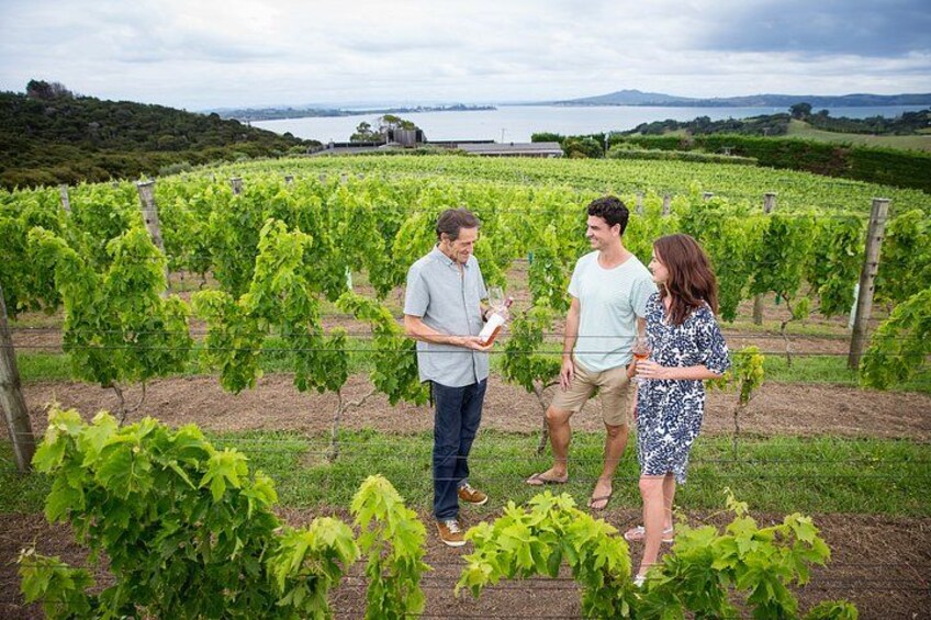 Waiheke Island Nature and Ceramics Private Tour 3
