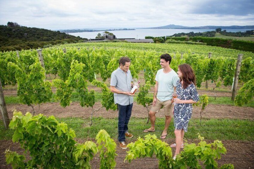 Waiheke Island Nature and Ceramics Private Tour 3