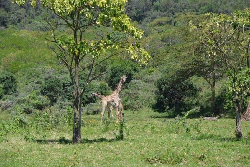 3 Day Mount Meru Climb Adventure 1