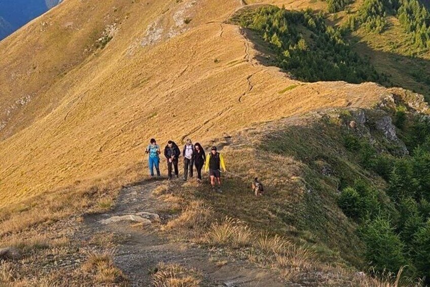 A group of hikers on a mountain trail with a dog. 2