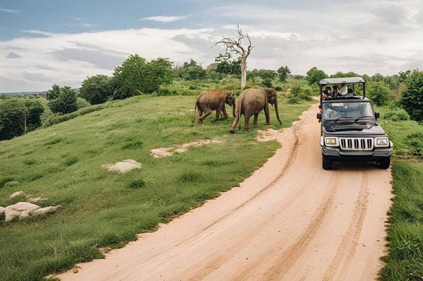 A dirt road with elephants and a safari vehicle. 5