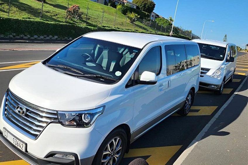 Cape Town To Hermanus Whale Watch and Penguin Shuttle Services 3