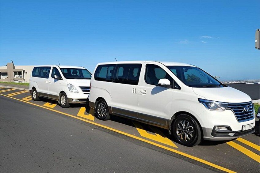 Cape Town To Hermanus Whale Watch and Penguin Shuttle Services 2