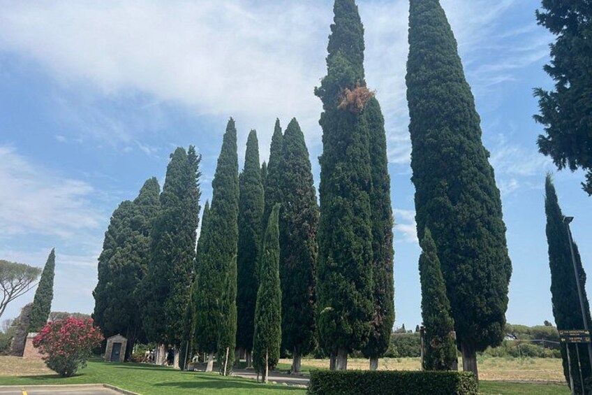 Catacombs of St. Callixtus with Golf Cart Shuttle and Appian Way 3