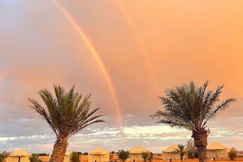Palm trees, a desert landscape, and a rainbow. 3