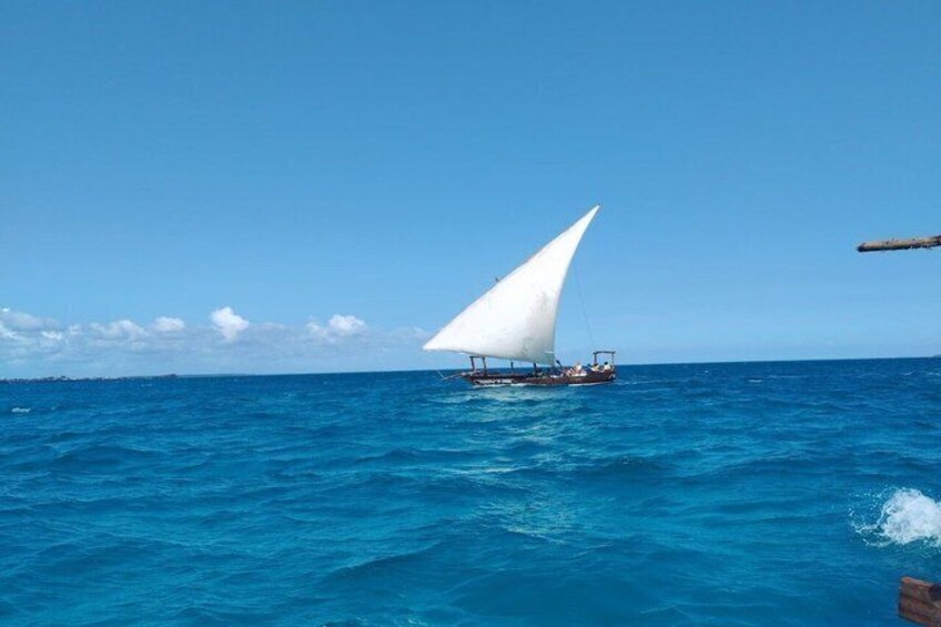 Zanzibar; Blue Safari Snorkeling & Blue Lagoon with BBQ 2