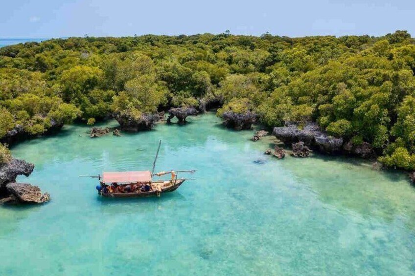 Blue Safari 1