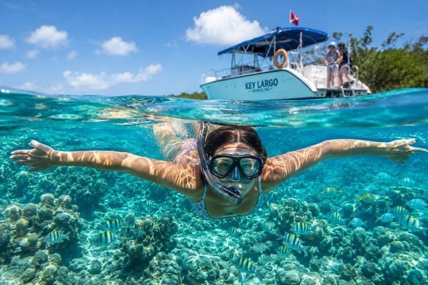 Key Largo: Hidden Key Marina Beginner Snorkeling Tour 1