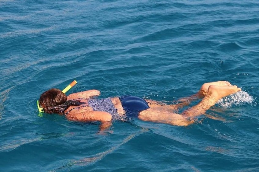Key Largo: Hidden Key Marina Beginner Snorkeling Tour 4