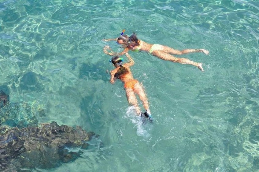 Key Largo: Hidden Key Marina Beginner Snorkeling Tour 2