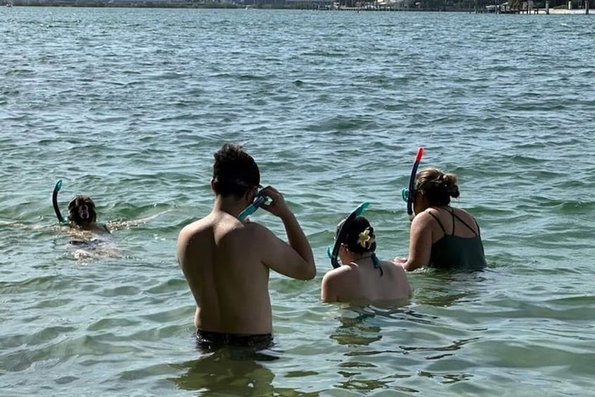 Key Largo: Hidden Key Marina Beginner Snorkeling Tour 5
