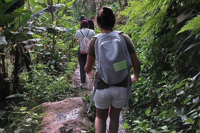 Day Tour of Arusha City Napuru Waterfalls and Hot Springs 5