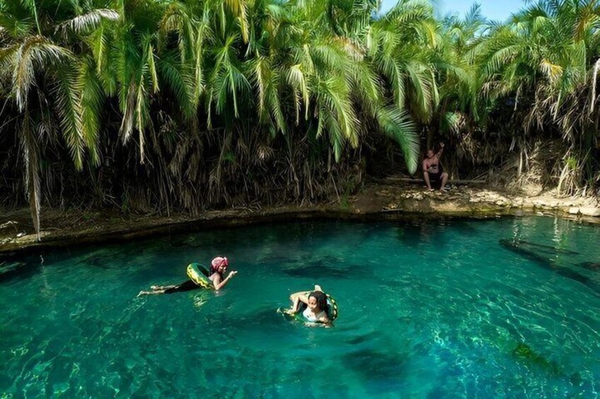 A clear blue pool surrounded by palm trees. 5