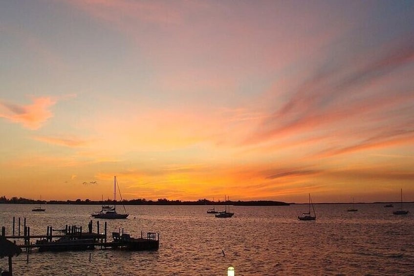 Key Largo: Florida Keys Sunset Cruise with Wildlife Spotting 4