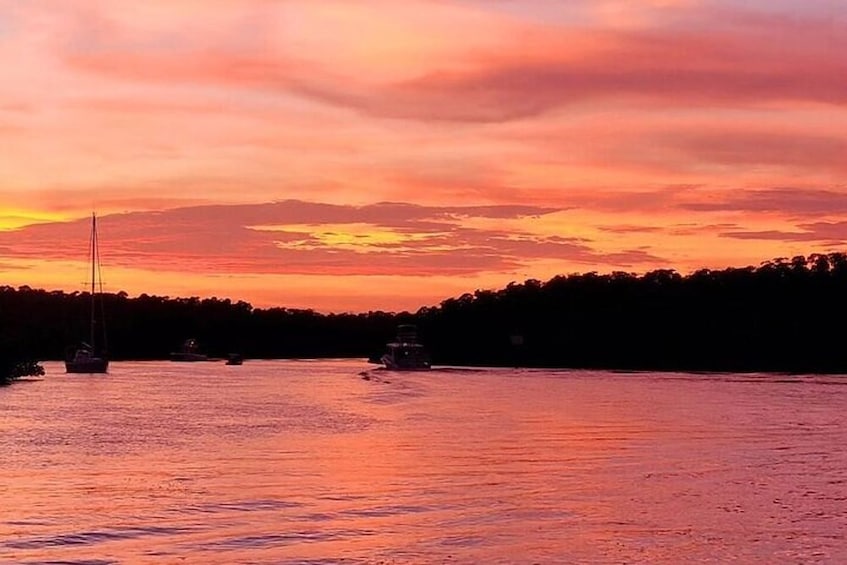 Key Largo: Florida Keys Sunset Cruise with Wildlife Spotting 5