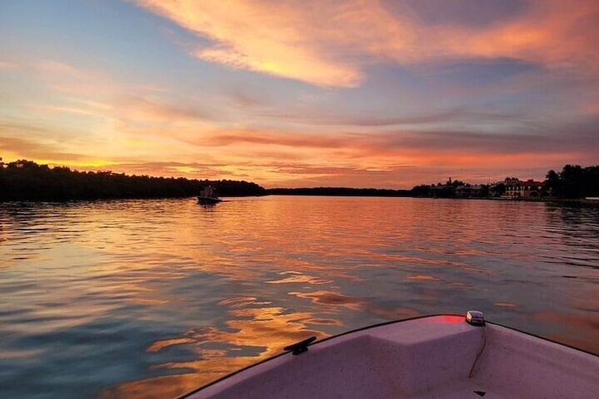 Key Largo: Florida Keys Sunset Cruise with Wildlife Spotting 3