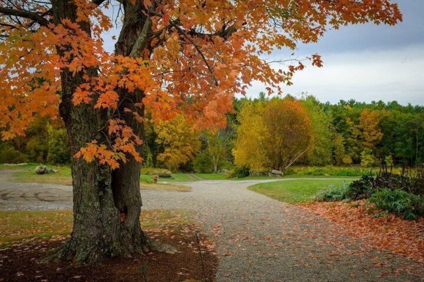 New England Botanic Garden Day Trip from Boston 3