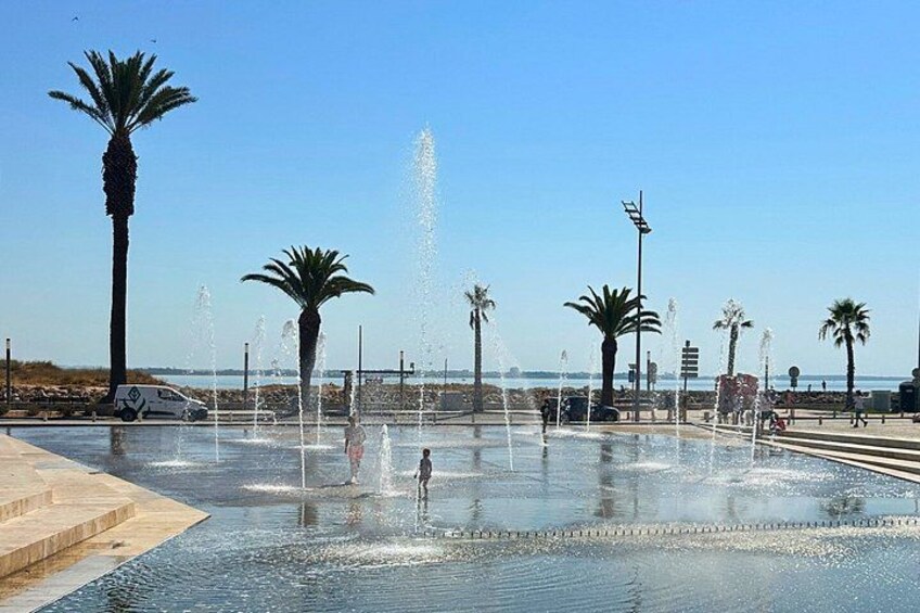A water fountain area with palm trees and a clear sky. 1