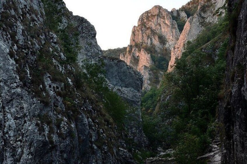 A canyon with rocky cliffs and greenery. 3