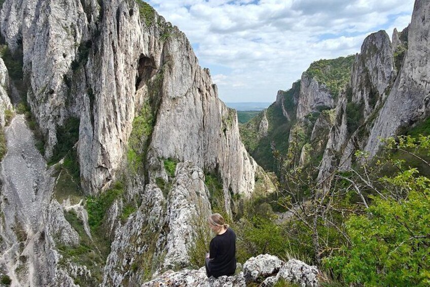 A person sitting on a rock overlooking a canyon with steep cliffs and greenery. 5