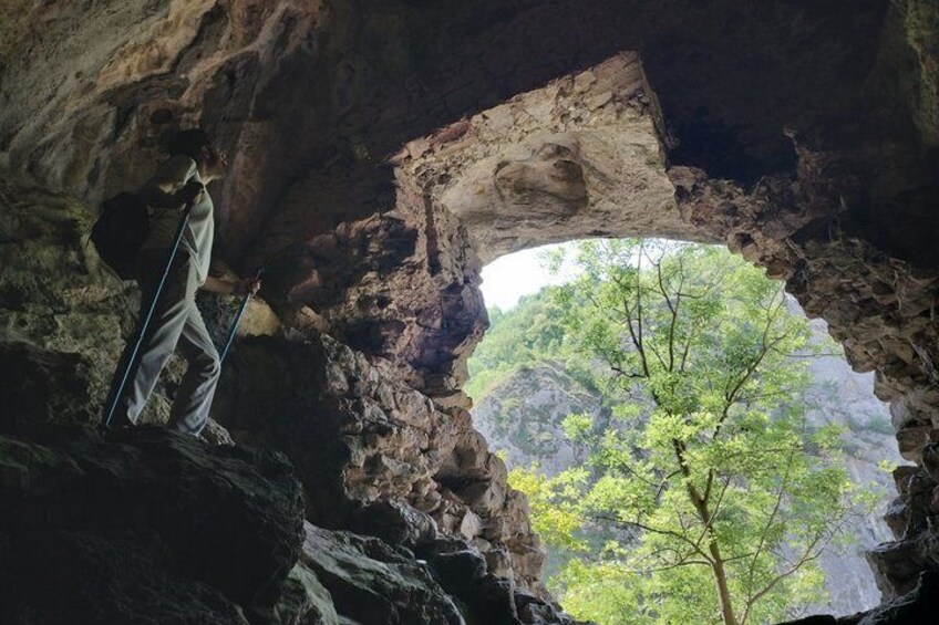 A cave with a person standing inside, a large opening to the outside, and a view of a forest. 1