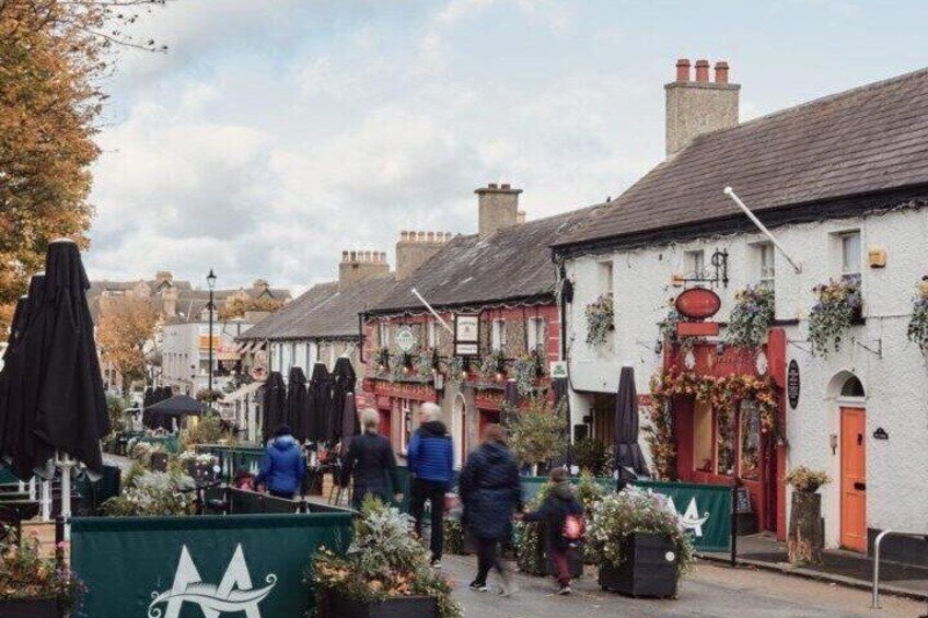 Irelands East Coast Cliffs Castles and Villages Private Tour 4