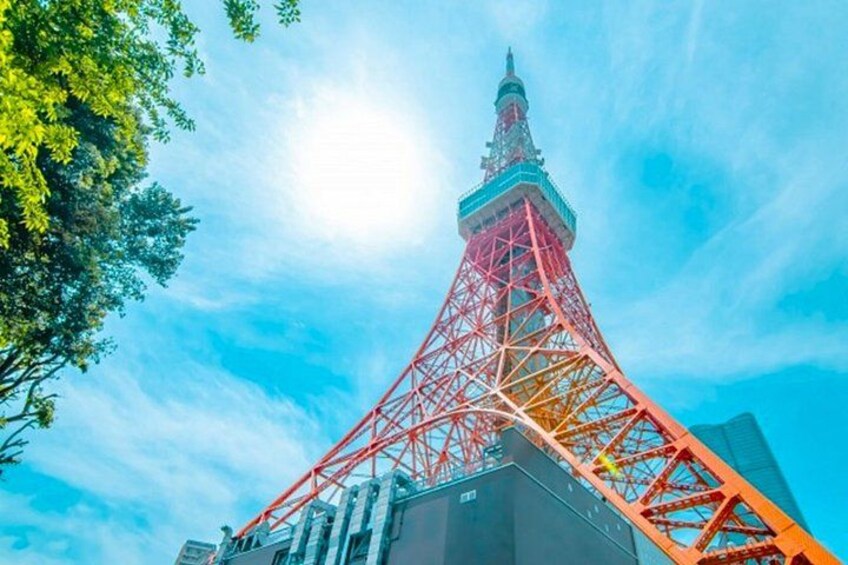 Sumo Show Experience at Tokyo Tower with Japanese Cuisine 2