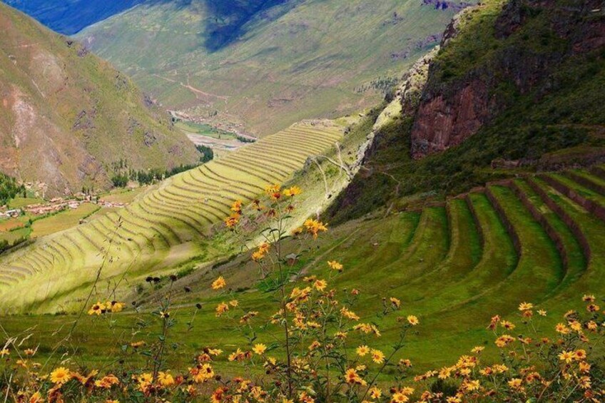 Terraced fields, a valley, and wildflowers. 5