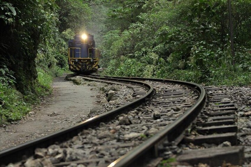 A train on a curved railway track surrounded by dense greenery. 2