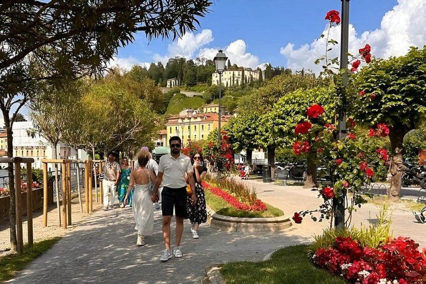 A cobblestone pathway, red flowers, and a hill with buildings in the background. 2