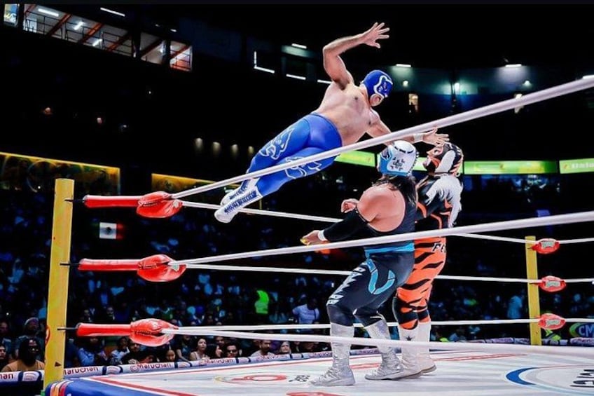 A wrestling match in a ring with ropes and corner posts. 5