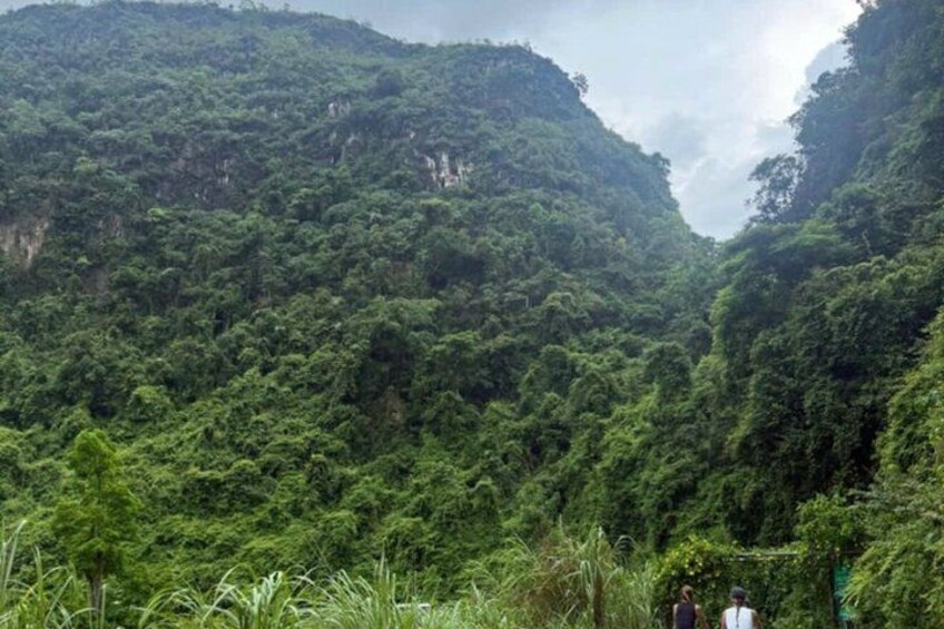A dense forest with steep cliffs and a narrow valley. 4