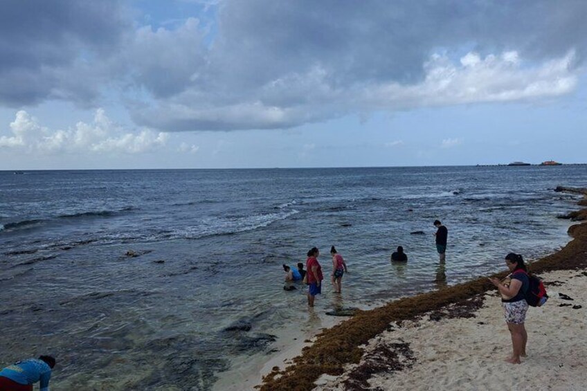 A beach with people wading in the water and a sandy shore. 5