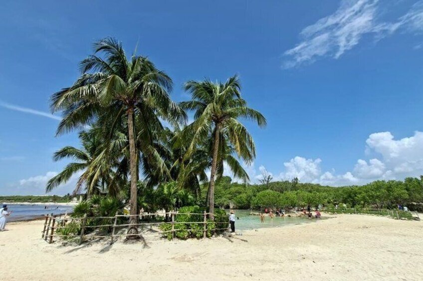 A sandy beach with palm trees and a clear blue sky. 3