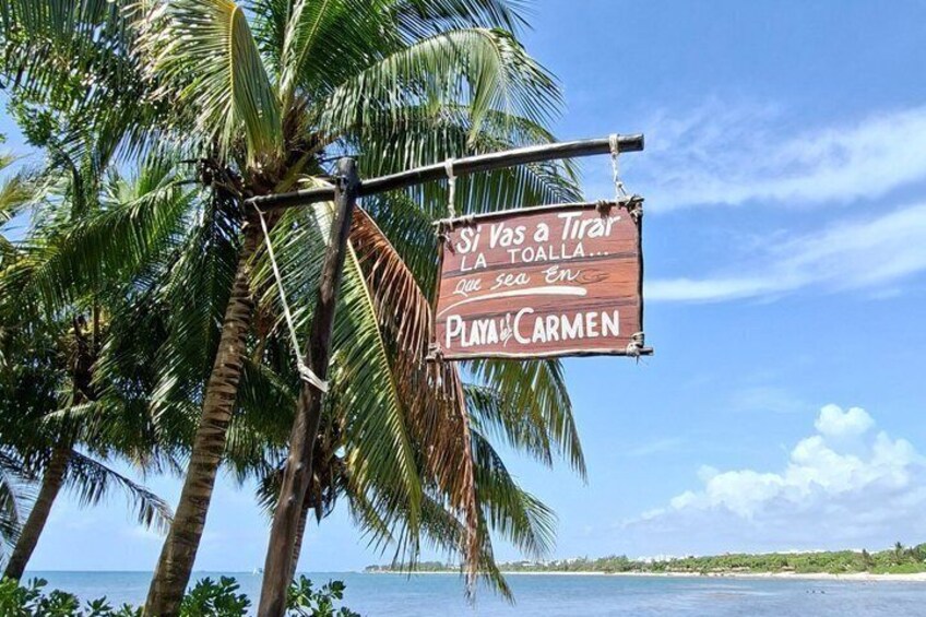 A beach sign with palm trees and a clear sky. 4