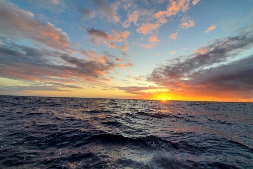 Private Snorkeling and Boat Tour in Kona Hawaii 1