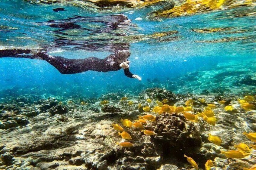 Private Snorkeling and Boat Tour in Kona Hawaii 3