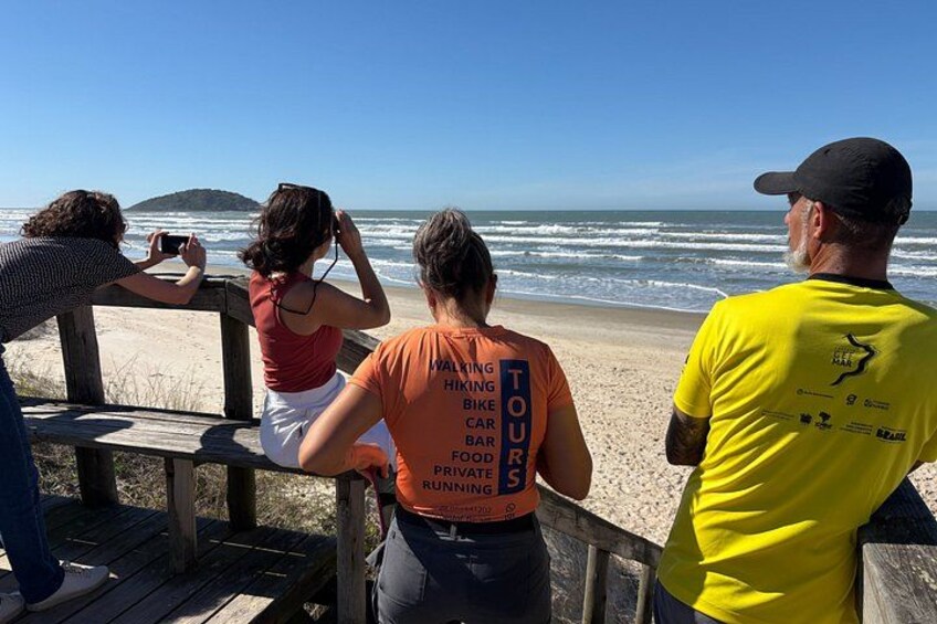 A beach with people sitting on wooden benches, a clear sky, and the ocean in the background. 4