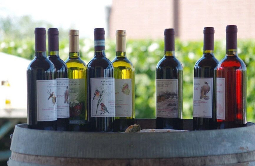 Picture 12 for Activity Casalnoceto: Winery Tour with Wine Tasting & Local Food 2