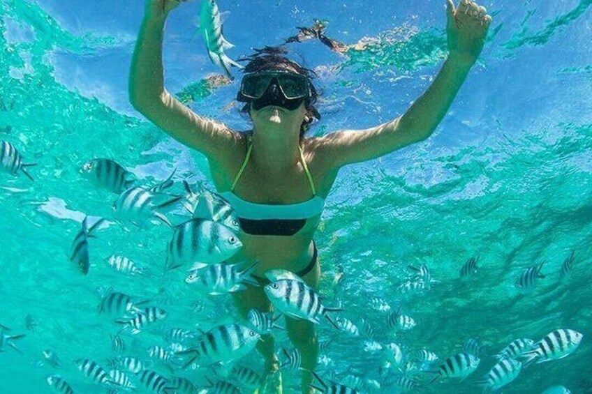A person snorkeling underwater surrounded by fish. 1