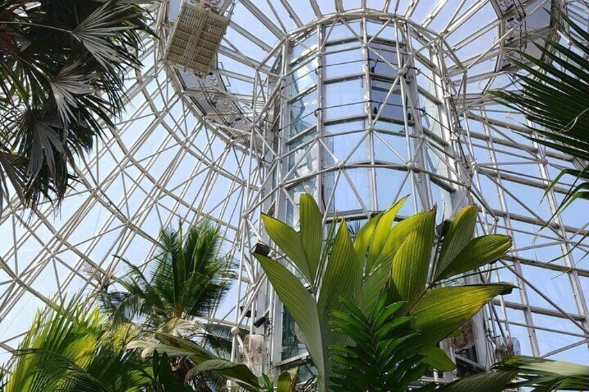 A glass greenhouse structure with a metal framework, surrounded by tropical plants. 5