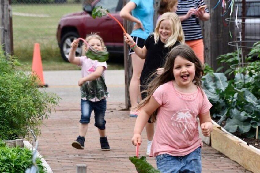 San Antonio Botanical Garden Admission Ticket 3