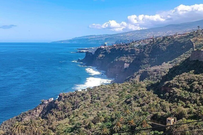 Premium Tour Discovery Garachico and Punta de Teno and Masca 3