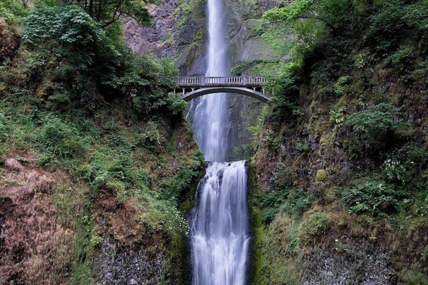 A waterfall cascading down a rocky cliff, a wooden bridge spanning the water, and lush green vegetation surrounding the area. 1
