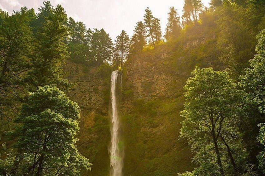 A waterfall surrounded by dense forest. 2