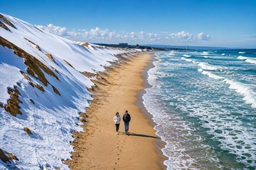 From Osaka: Conan Town and Tottori Sand Dunes Private Tour 2