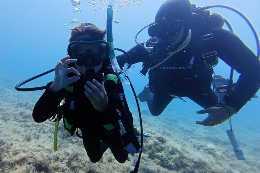 Diving in Novalja for Children and Adults 2