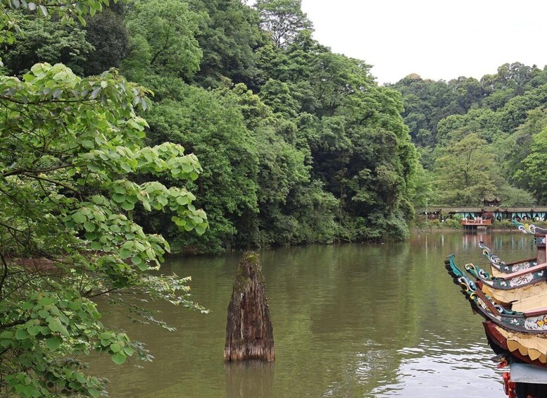 Picture 7 for Activity From Chengdu by Train: Mt.Qingcheng Day Trip with Guide 5